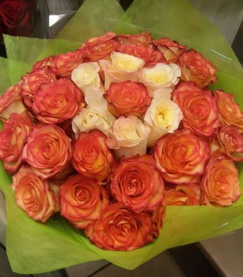 Букет из 51 розы, 60см, Эквадор